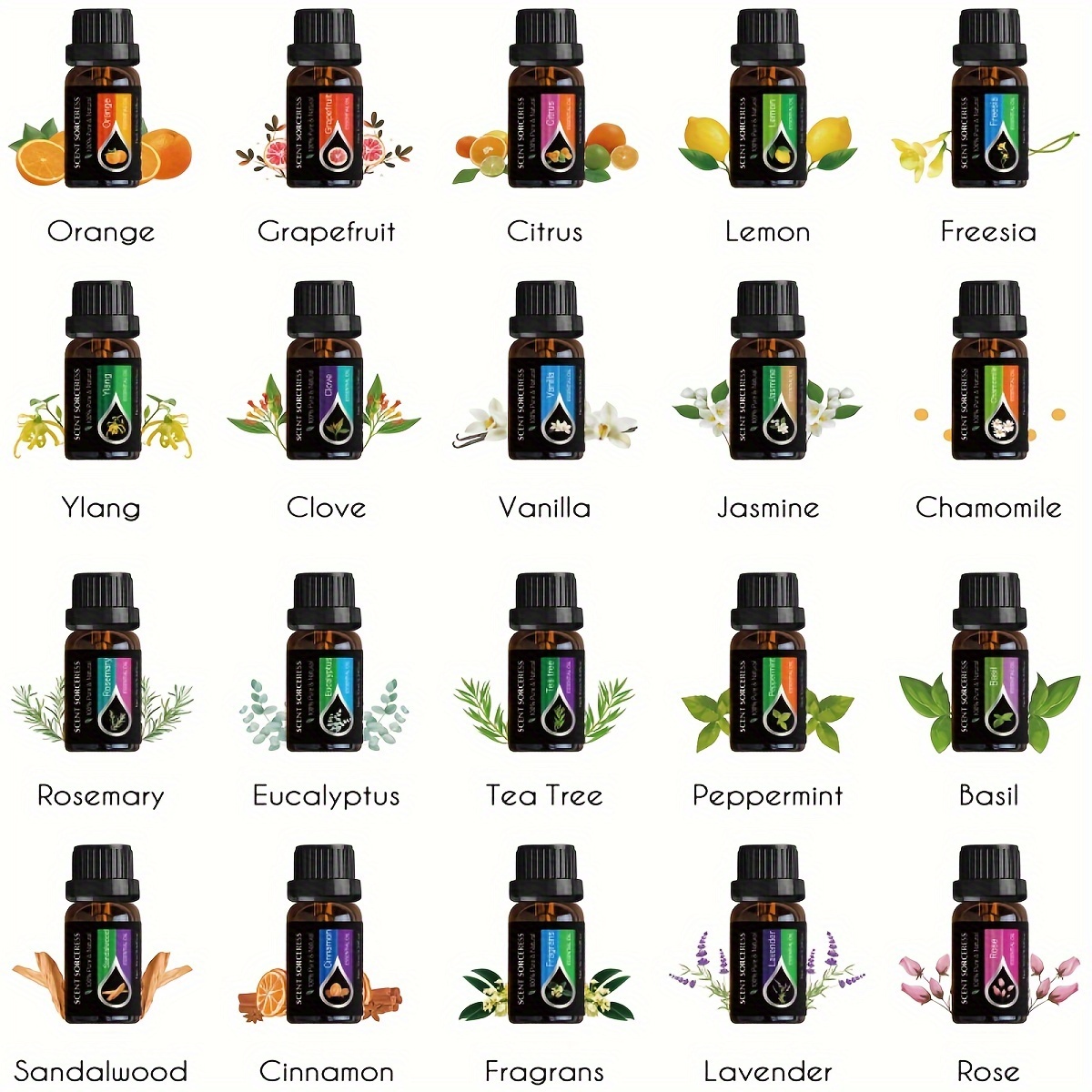 20pcs/set Essential Oil Set La - Perfume Fragrance Diffuser ulasan dan harga